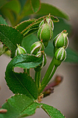 P3170972