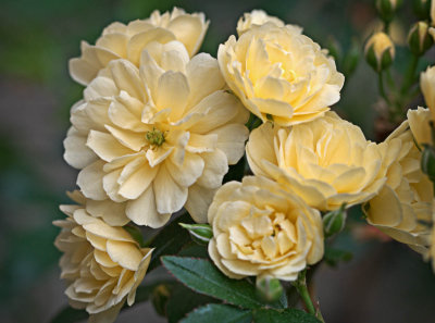 P3170979