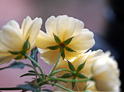 P3170984