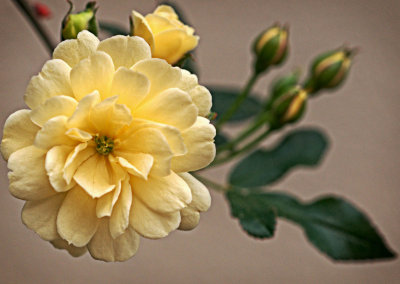 P3170986