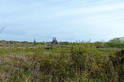 P1120470
