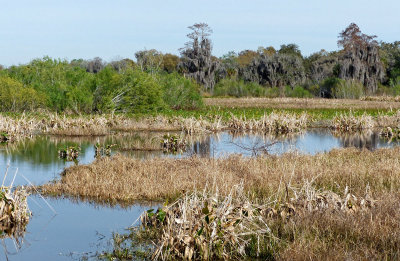 P1120485