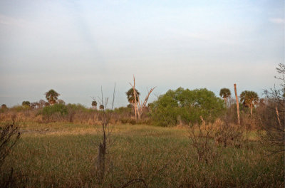 P3030071