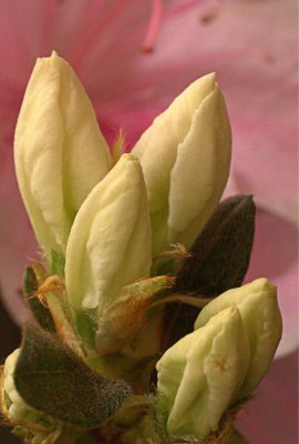P3311217