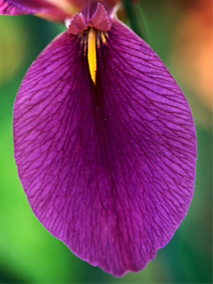 P4282029