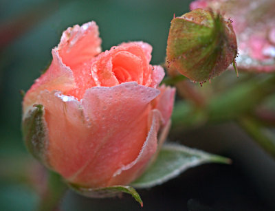 P5070349