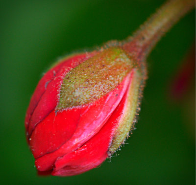 P5070355