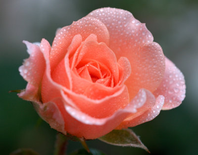 P5070347