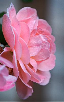 P5070350