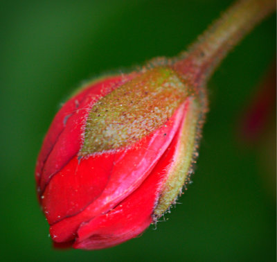 P5070355