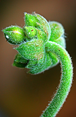 P5070357