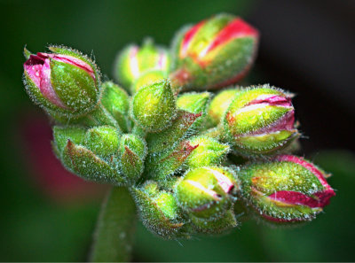 P5070359