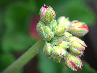 P5070360