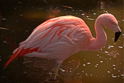P5060332