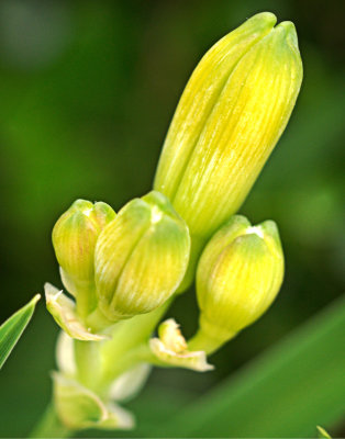 P5100409