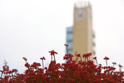 20.12.2011