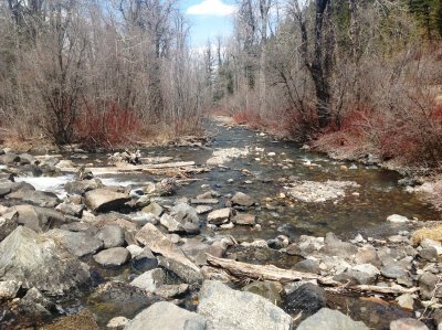 East Gallatin Park Trail