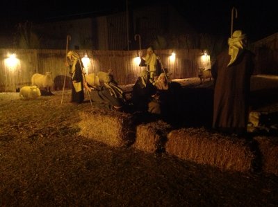 Bethlehem Nativity 082.JPG