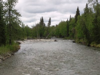 IMG_1878.JPG