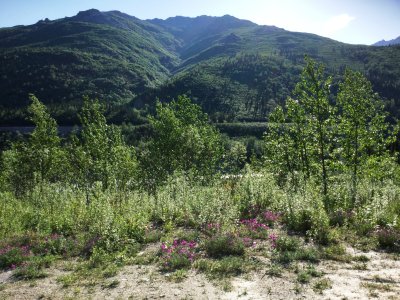 IMG_2876.JPG