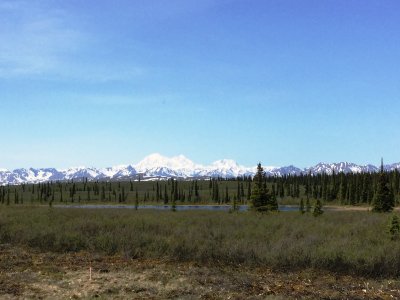 IMG_2916.JPG