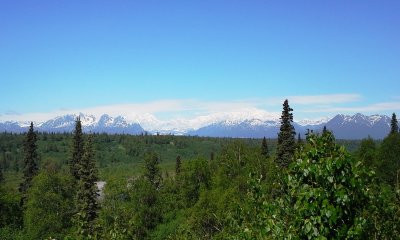 IMG_2995.JPG