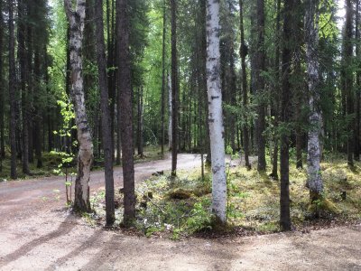 IMG_1930.JPG