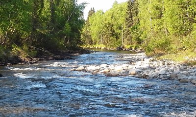 Down by the Creek