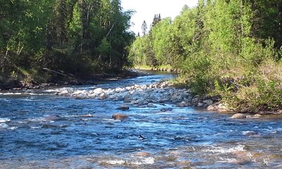 Down by the Creek