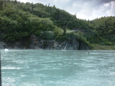 IMG_2173.JPG