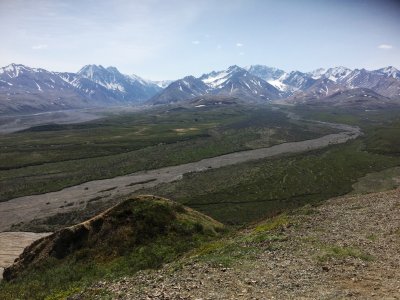 Denali National Park