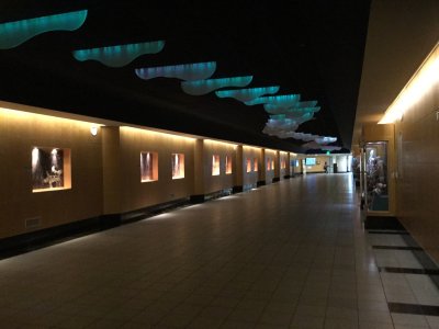image1.JPG