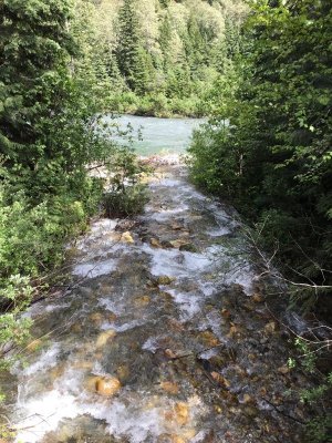 IMG_1728.JPG
