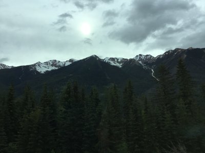 IMG_1487.JPG