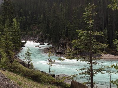 IMG_1873.JPG
