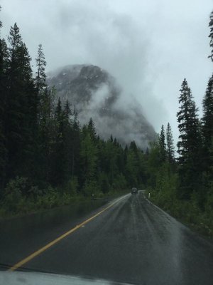 IMG_1902.JPG
