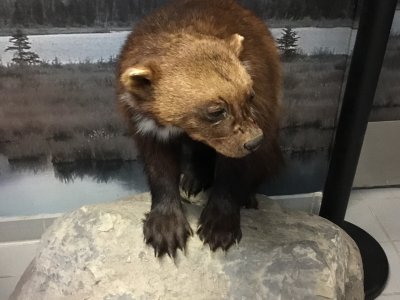 IMG_1880.JPG