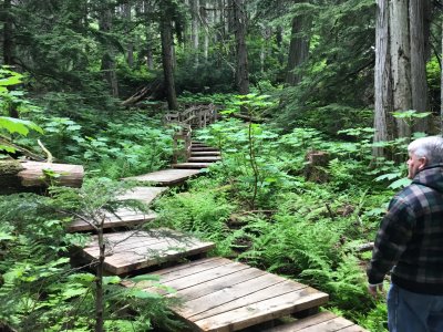 Giant Cedars Hike