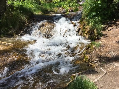 IMG_3457.JPG