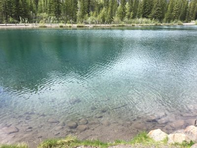 IMG_3285.JPG