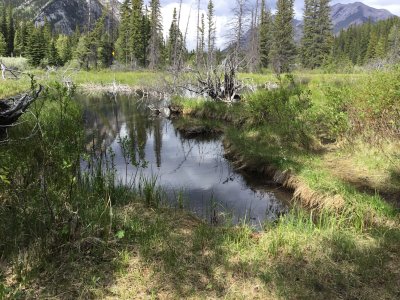 IMG_3293.JPG