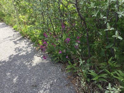 IMG_3294.JPG