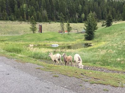IMG_3229.JPG