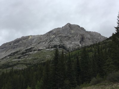 IMG_3238.JPG