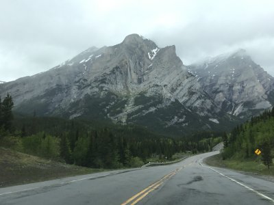 IMG_3251.JPG