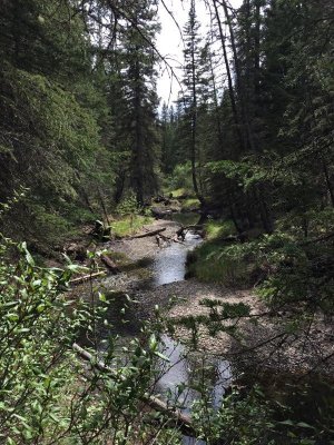 IMG_3269.JPG