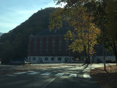 IMG_5564.JPG