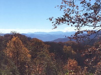 IMG_6051.JPG