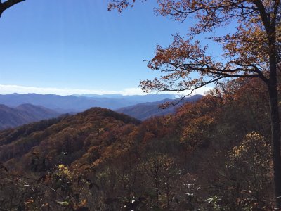 IMG_6063.JPG