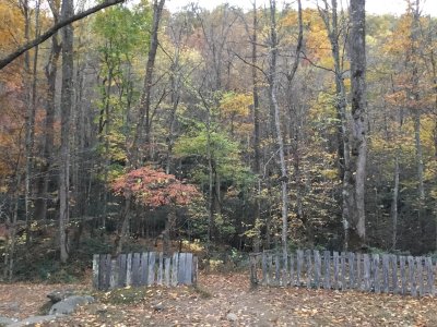 Roaring Forks Motor Nature Trail